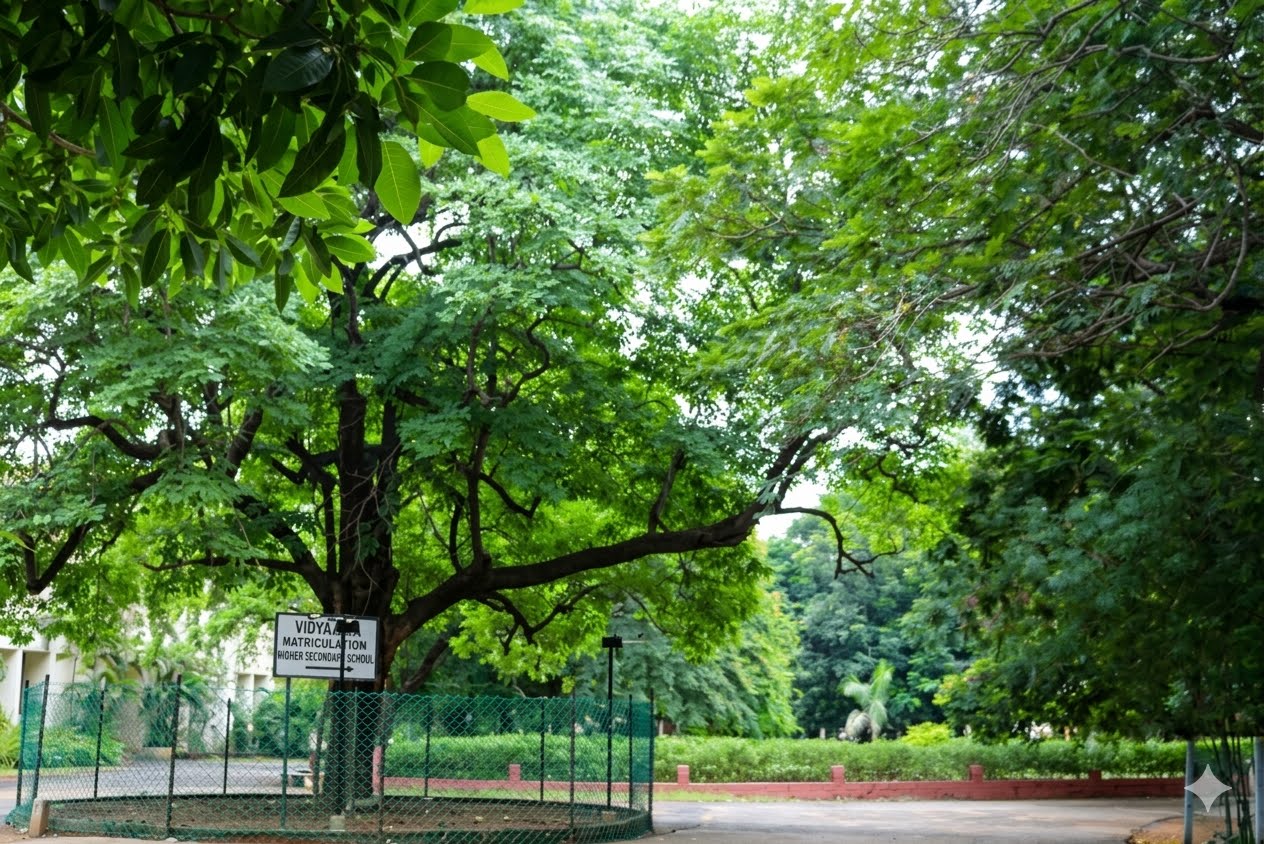 Green Campus